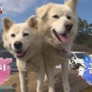 금순이농장 이미지