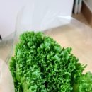 (주)케이플러스팜 이미지