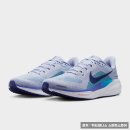 예산-41 | 나이키 페가수스 41 런닝화 사용 후기와 특징