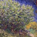 별이 빛나는 밤에 이미지