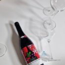 보졸레 누보 와인추천! Georges Duboeuf Beaujolais Villages Nouveau 2021(조르주 뒤뵈프 보졸레...