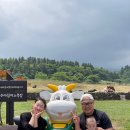 동욱목장 이미지