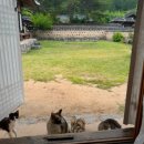 하늘마루민박 이미지