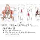 수앤테라피 이미지