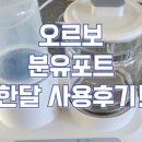 오르보 이미지