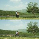 목장양꼬치 이미지