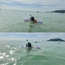 무릉도원올레 | 제주도의 푸른밤