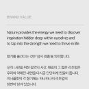 이너플랏