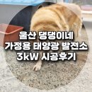 신광와이어 태양광발전소 | 울산 댕댕이네 가정용 태양광 발전소 3kW 시공 후기