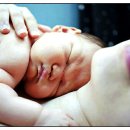 호스시 - 시흥시 서울대학로264번길 25 | 호스시