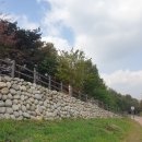 전LH사업단 버스정류장(하행) | 과천주암지구 사전청약 C1 C2 임장후기 현장 토지보상