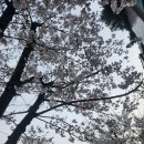 타코왕 | [DMC]수색 상암 규니왕타코 본점 타코야끼 맛집 주류판매