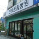 민트병원 이미지