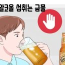 핫점핑 다이어트
