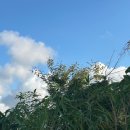 태안 무이림 제 7객실 후기(롯데바우처 사용, 9월달 방문)