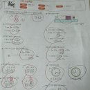 안중늘푸른 이미지