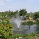 영천농장 이미지