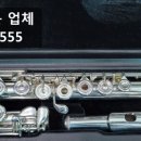 플룻 (고급) 이미지