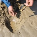 안면도 풀하우스 펜션 이미지