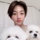 어질리티