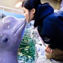 아쿠아플라넷 여수 이미지