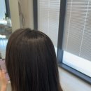 유시크