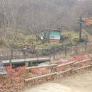 개웅산 유아숲체험원 이미지