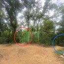 큰골사슴 이미지