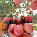 삼애농원 이미지