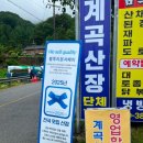 아이생각 | 하동 삼성궁, 3살 아이와 다녀온 솔직후기 | 생각보다 괜찮았던 이유 + 근처맛집