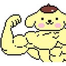 요가1 | 질리지 않고 계속되길 바라요_요가1년후기