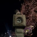 이마트24 온천벚꽃점 네이버블로그