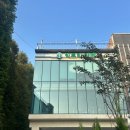 시흥 물왕저수지 빅트리 카페 후기 / 대형 카페 주차장 추천
