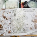 투존엔순살로치킨 이미지