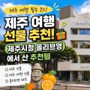 올리브영제주연동신라점 | 제주 여행 선물 추천! 제주시청 올리브영 방문후기