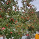 청송우체국 이미지