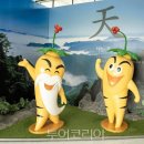 금산인삼 - 금산군 비단로 140 | 금산인삼