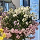 영조농장 이미지