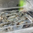 성성5로 | 천안 장어무한리필 노천민물장어 성성점 솔직후기 - 전문점 퀄리티