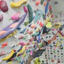 손정준 스포츠클라이밍연구소