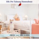 Pet 마을 | 타이둥 여행 호텔 추천: H&amp; Pet Taitung Homeabout 후기