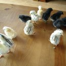 현인농원 이미지