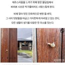 소락뜨레 이미지