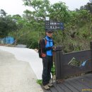 완도 예송리 상록수림 이미지