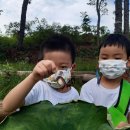 북청물장수 이미지