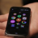 팜 (palm) 이미지