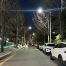 후곡 | 일산 일산역 막창 맛집 매일 줄서서먹는 연막창 일산 후곡점 방문 솔직 후기