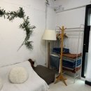 에델바이스 노래방 이미지