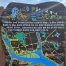 초당콘도르비행교육원 | 철새의 군무를 보고자 방문했던 해남 고천암호