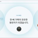 투투행정사사무소1 | 베트남 국제결혼, 한베합동사무소와 함께한 신부의 한국어 요건 준비 후기